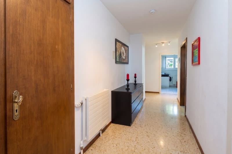 Appartement avec grand jardin et vue panoramique sur le lac (6)