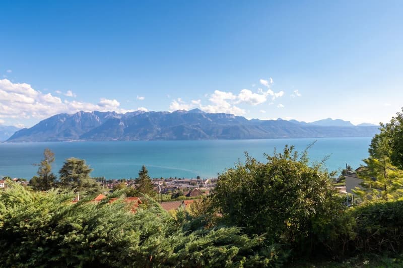 Vue lac et Alpes