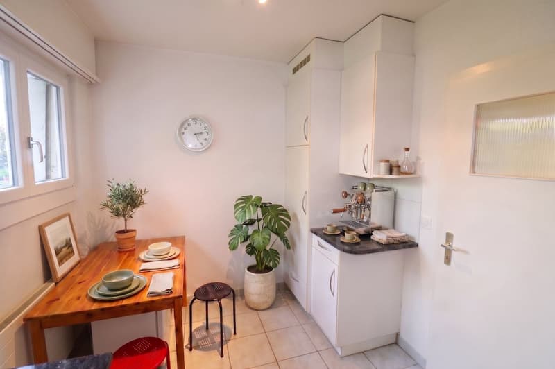 Appartement avec grand jardin et vue panoramique sur le lac (12)