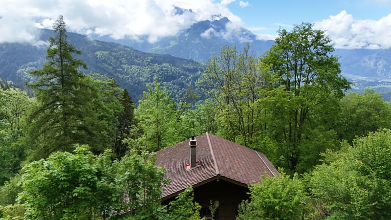 Particulier ou investisseur, chalet à haut potentiel à Villars-sur-Ollon (2)