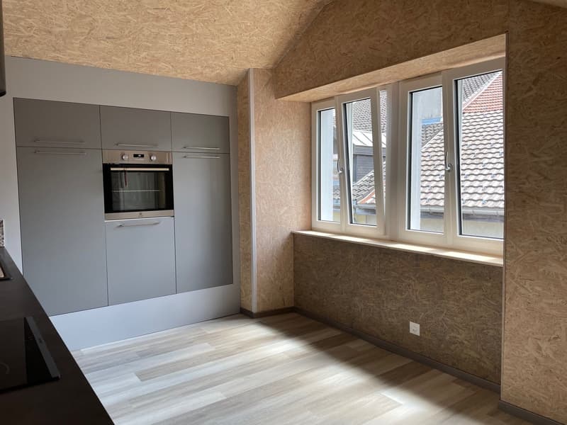 Magnifique appartement rénové avec charme + garage (11)