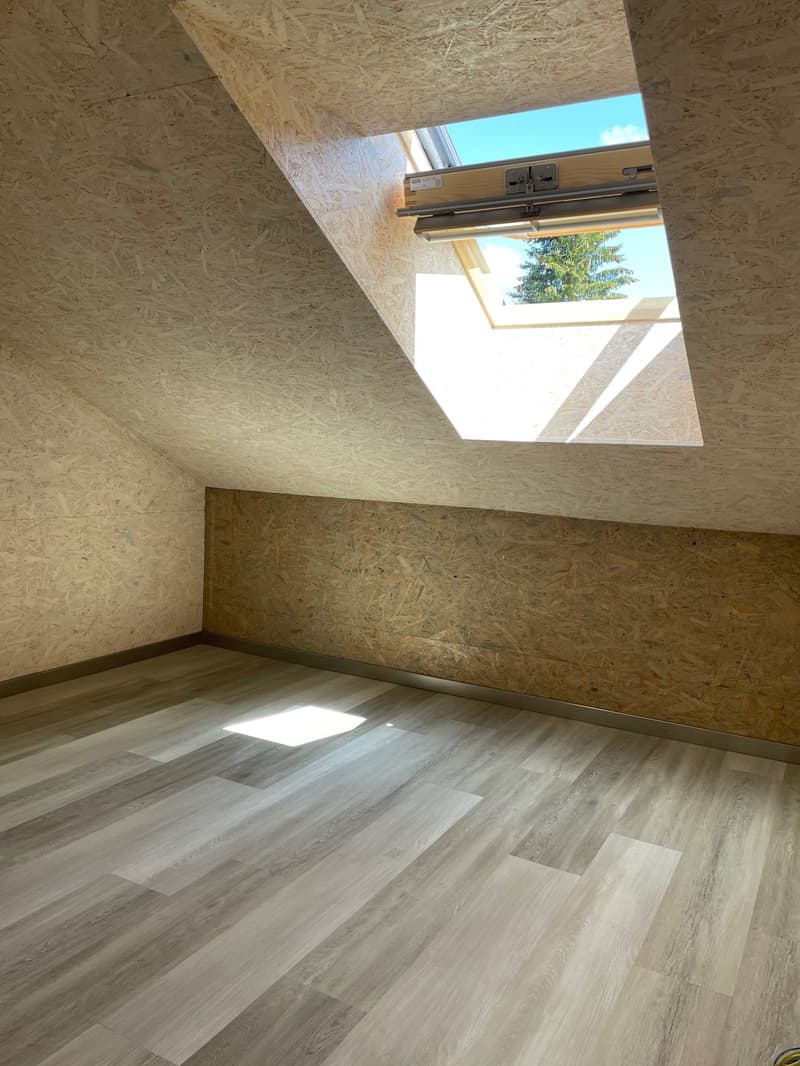 Magnifique appartement rénové avec charme + garage (9)