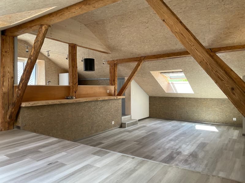 Magnifique appartement rénové avec charme + garage (5)