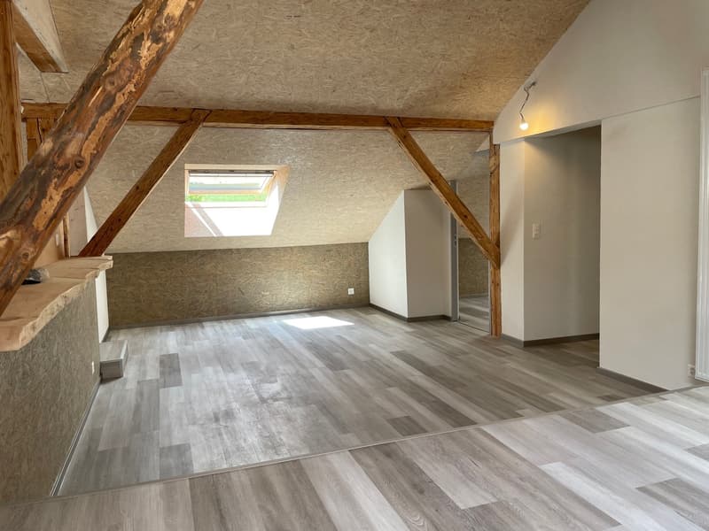 Magnifique appartement rénové avec charme + garage (19)