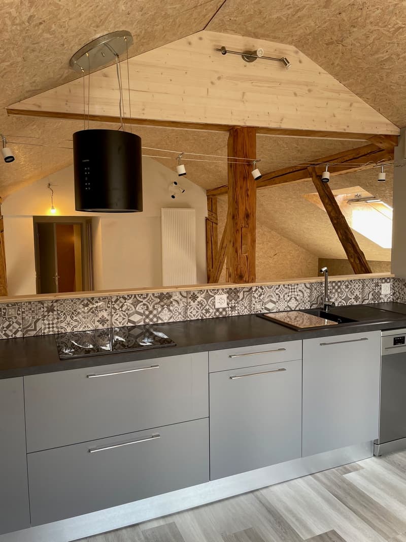 Magnifique appartement rénové avec charme + garage (12)