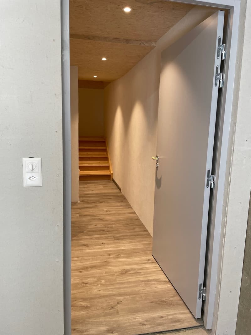 Magnifique appartement rénové avec charme + garage (16)