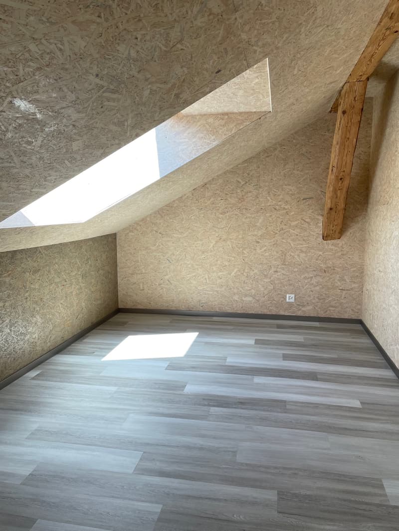 Magnifique appartement rénové avec charme + garage (15)