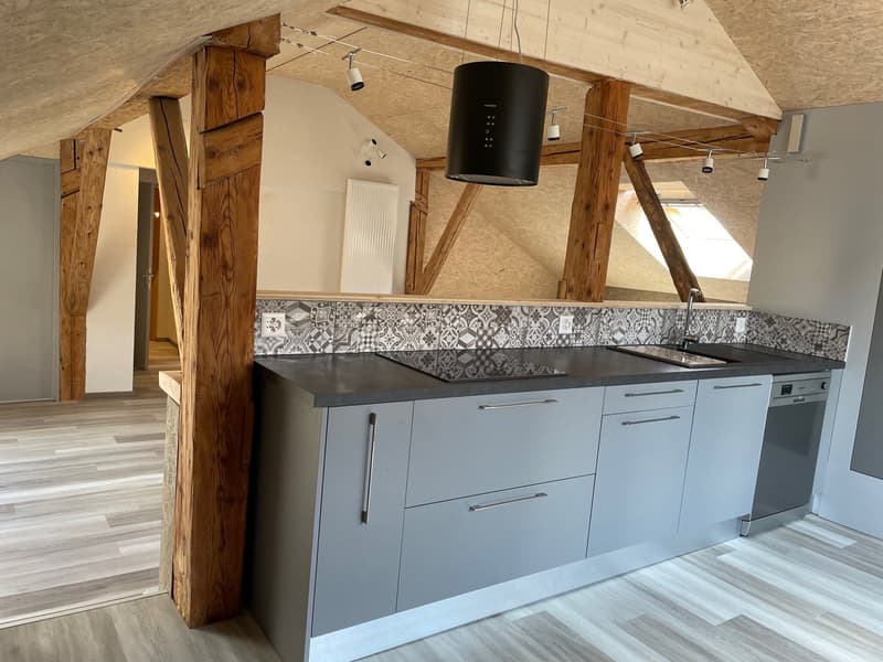 Magnifique appartement rénové avec charme + garage (6)