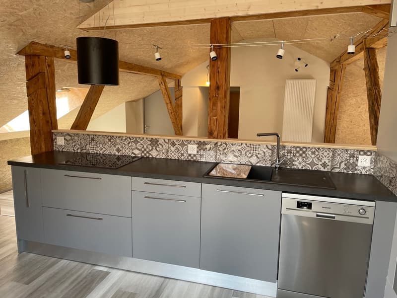 Magnifique appartement rénové avec charme + garage (14)