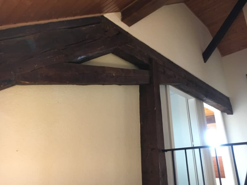 Villa sur les hauts de Lutry (9)