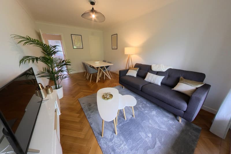Appartement meublé 164 m2 au centre de Genève (1)