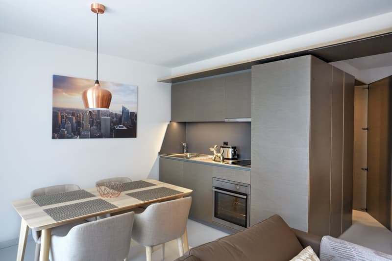 Bright and Modern Studio in Nyon city centre (2)