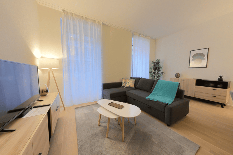 Appartement meublé, entièrement refait à neuf - Neuchatel centre-ville (2)