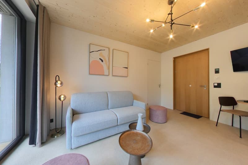 Luzern - Brand new 1-bed apartment (1)
