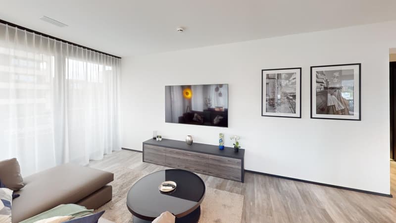 modern room, flatscreen TV, entertainment center, coffee table, rug, couch, window curtains