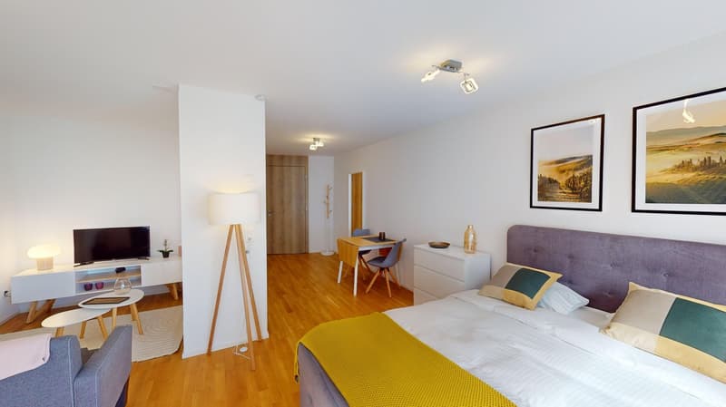 Moden Bright Studio with Balcony - Lausanne city centre - 10min walk from train station (12)