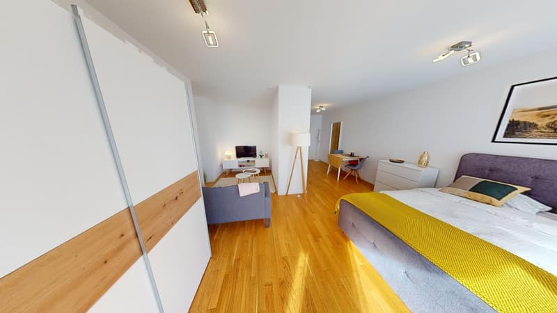 Moden Bright Studio with Balcony - Lausanne city centre - 10min walk from train station (3)