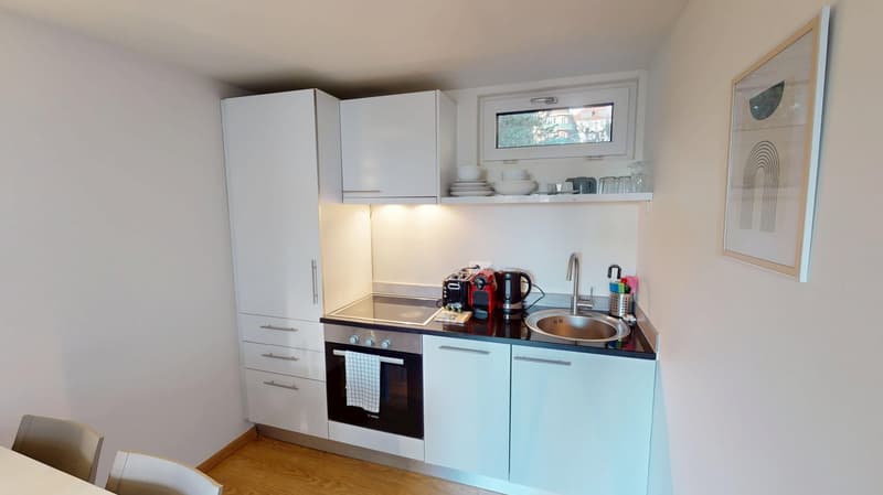 Rooftop Views & Central Location: 1-Bedroom Apartment in Lausanne (18)