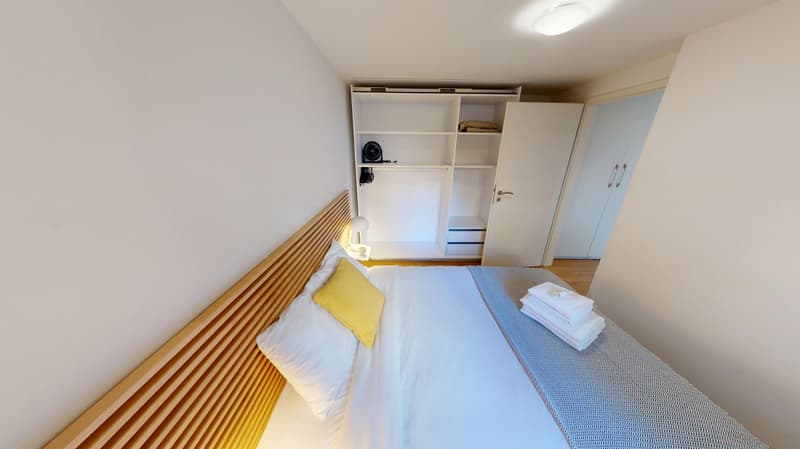 Rooftop Views & Central Location: 1-Bedroom Apartment in Lausanne (19)
