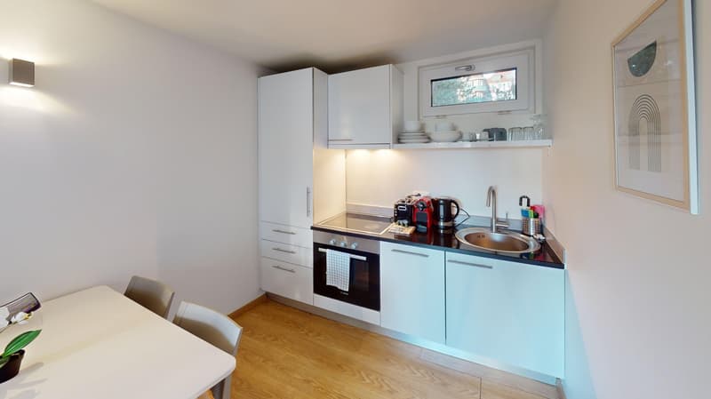 Rooftop Views & Central Location: 1-Bedroom Apartment in Lausanne (9)