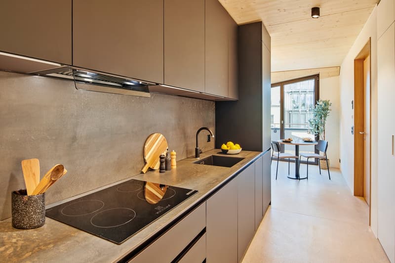 Special Promotion! Charming Duplex Apartment with Balcony in Lucerne (3)