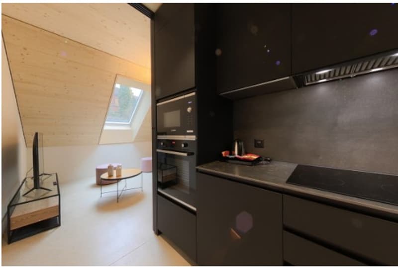 Special Promotion! Charming Duplex Apartment with Balcony in Lucerne (4)