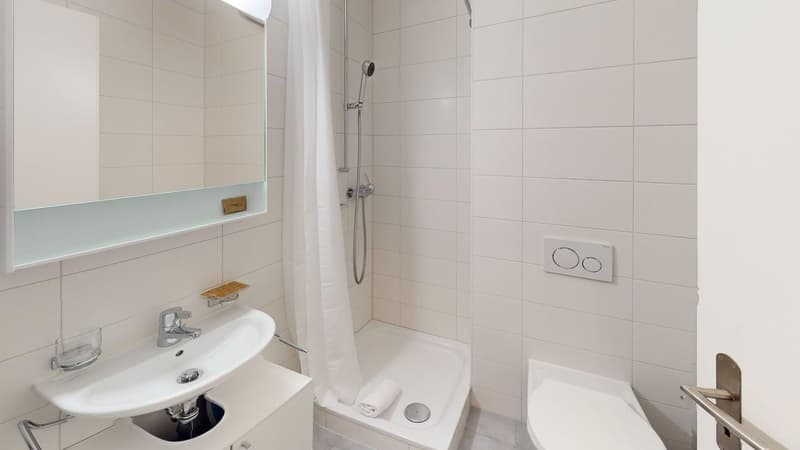 White tiles, shower, sink, mirror, toilet