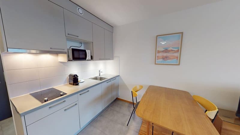 kitchen with sink, induction stove, microwave, toaster, wooden dining table and chairs, cabinet, picture frame on wall