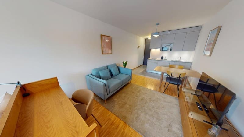 Renovated furnished studio in Geneva's Plainpalais district (3)