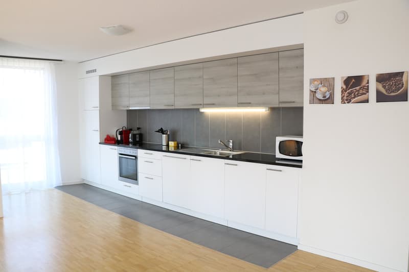 Moderne et lumineux 4.5 pièces avec loggia (3)