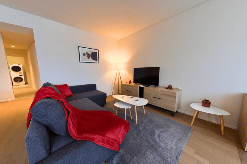 large sofa, round tables, television, flooring, painting, washing machine