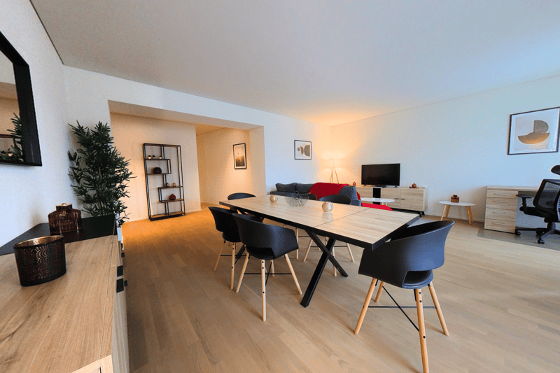 dining area with table and chairs, plant, mirror, TV, couch, shelves, office chair