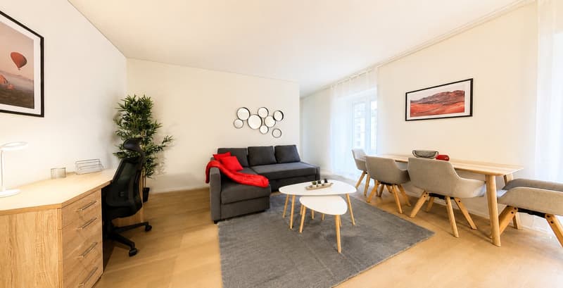 Lovely 1 bed furnished apartment in the city center with utilities included (4)