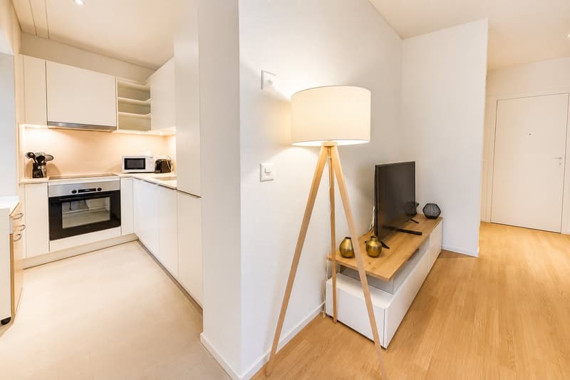 Lovely 1 bed furnished apartment in the city center with utilities included (11)