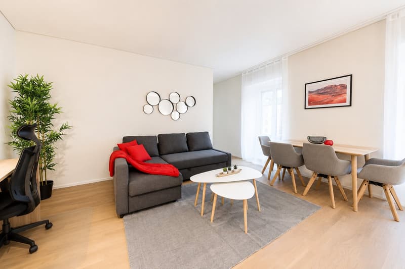 Lovely 1 bed furnished apartment in the city center with utilities included (2)