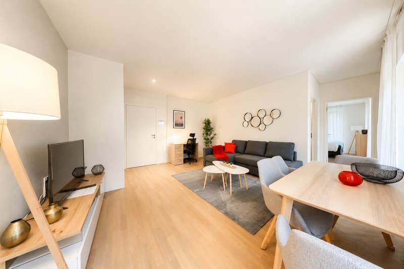 Lovely 1 bed furnished apartment in the city center with utilities included (1)