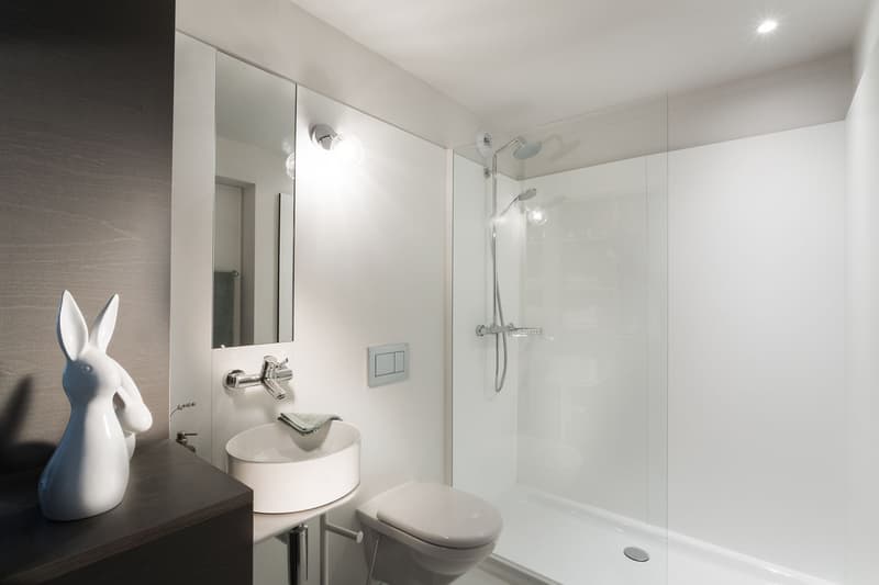 Modern bathroom with white walls, a vanity sink, a toilet, and a glass-enclosed shower area with a showerhead.