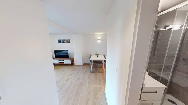 Rooftop Views & Central Location: 1-Bedroom Apartment in Lausanne (13)