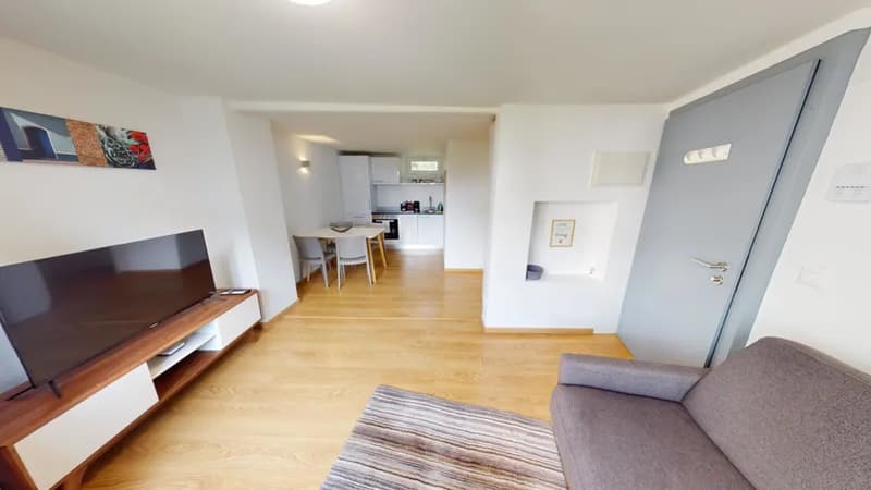 Open-concept living room and kitchen, hardwood floors, white walls, TV stand, sofa, dining table, kitchen with appliances including a dishwasher