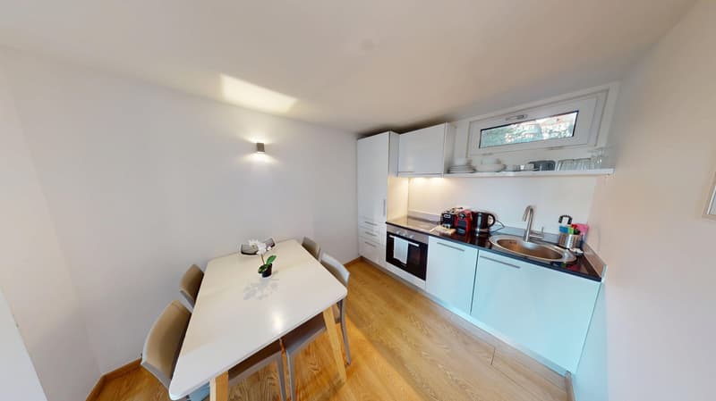 Rooftop Views & Central Location: 1-Bedroom Apartment in Lausanne (4)