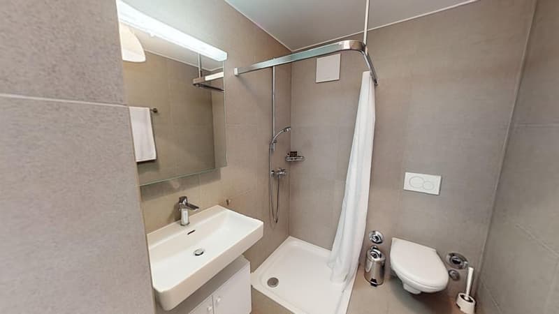A small bathroom with a sink, toilet, and shower
