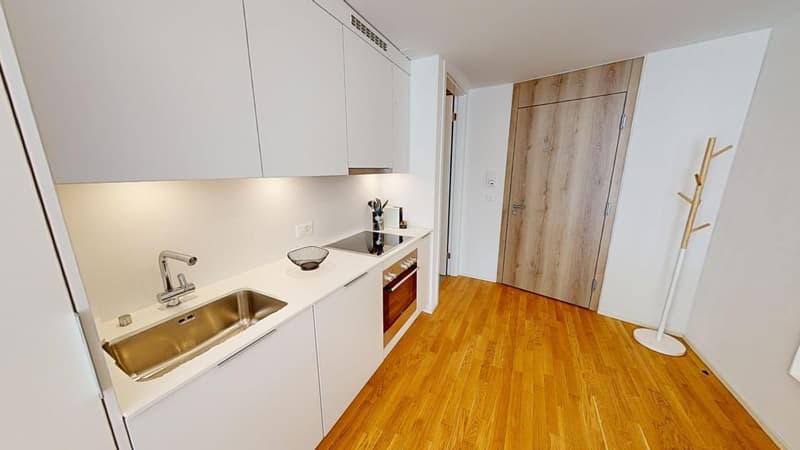 modern kitchen, white cupboards, wooden floors, sink, stove, oven, dishwasher, washing machine