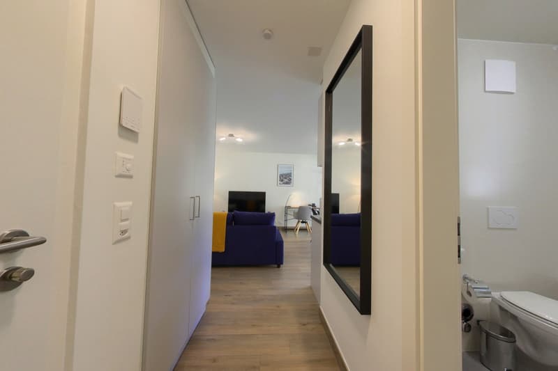 modern interior, hallway, white walls, wooden floor, mirror, toilet, toilet paper holder, light switches, power outlet
