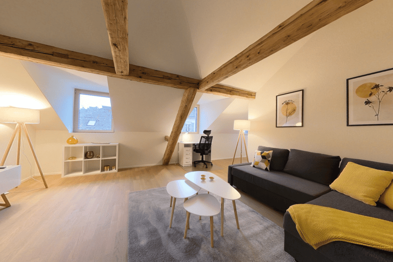Spacious 1bedroom furnished apartment in central Neuchatel (2)
