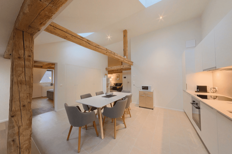 Spacious 1bedroom furnished apartment in central Neuchatel (3)