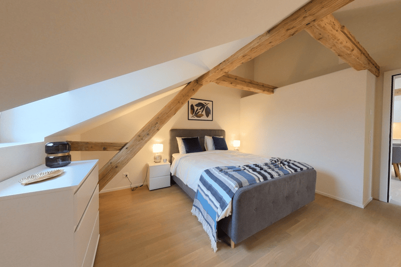 Spacious 1bedroom furnished apartment in central Neuchatel (4)