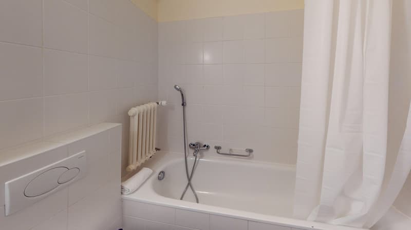 Luminous 2-bedroom apartment in the Charmilles district (15)
