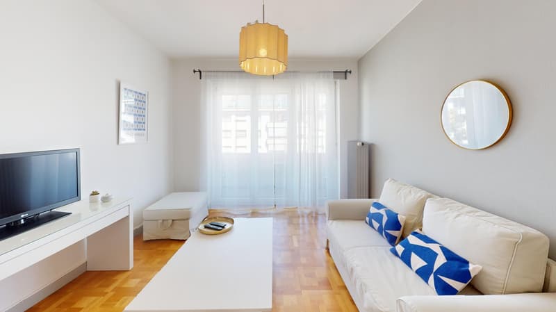 Luminous 2-bedroom apartment in the Charmilles district (1)
