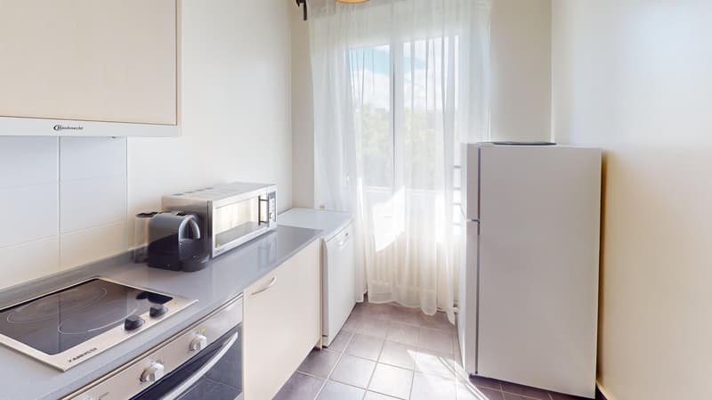Luminous 2-bedroom apartment in the Charmilles district (14)