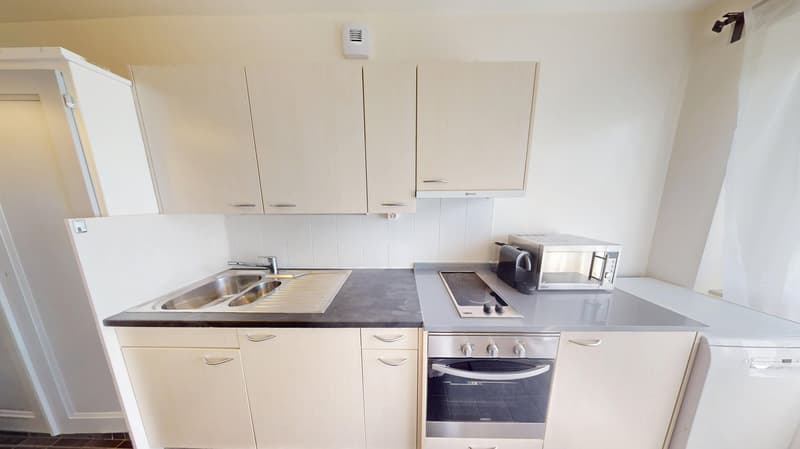 Luminous 2-bedroom apartment in the Charmilles district (12)